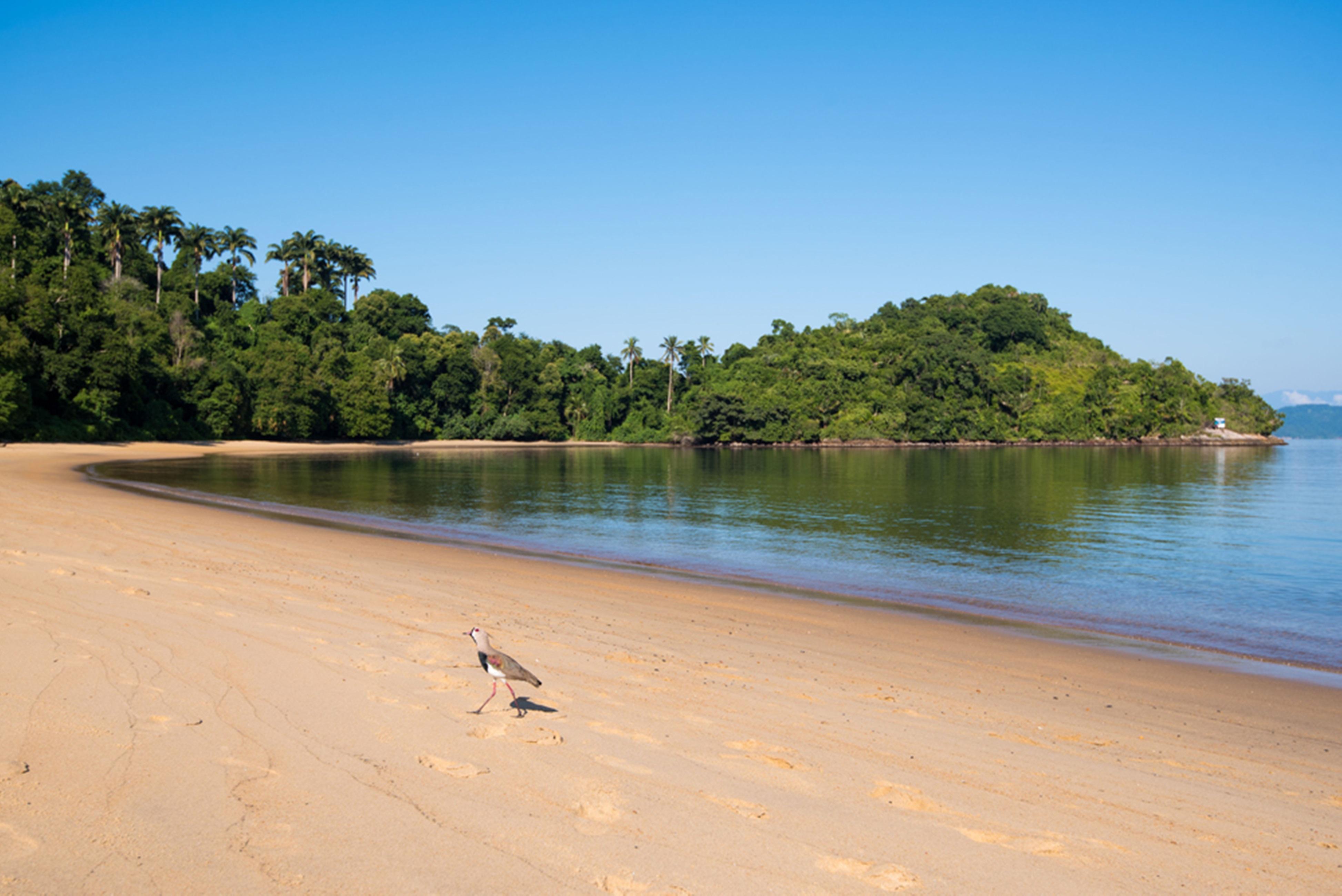 Vila Gale Eco Resort Angra 앙그라 두스 헤이스 외부 사진 Beach at the park